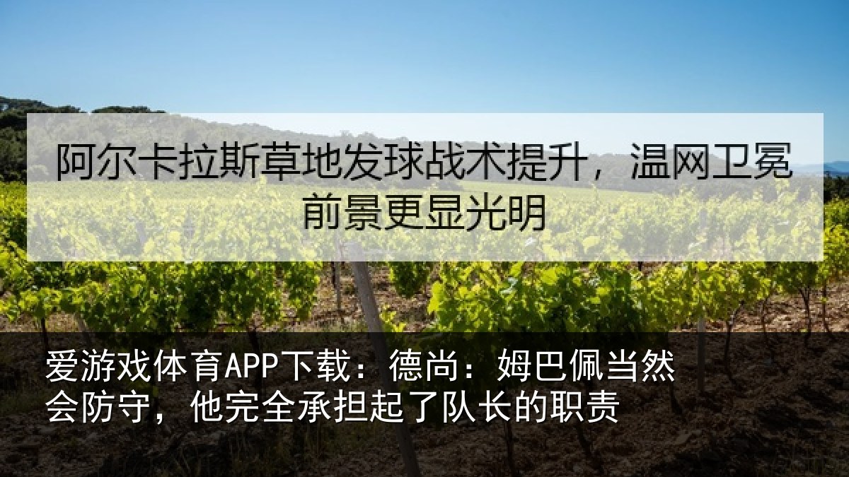 爱游戏体育APP下载：德尚相关情况，他完相关情况职责