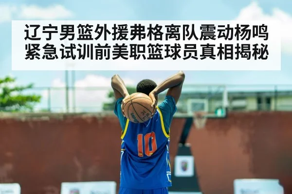 辽宁男篮外援弗格离队震动杨鸣紧急试训前美职篮球员真相揭秘