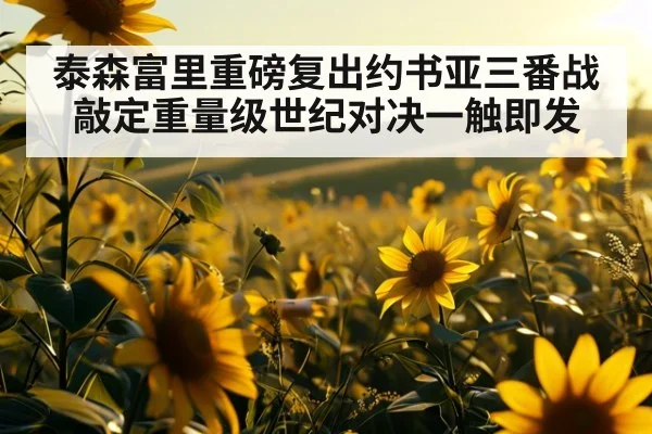 泰森富里重磅复出约书亚三番战敲定重量级世纪对决一触即发